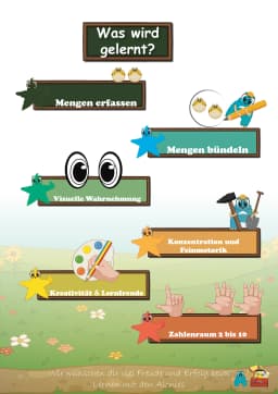 Mengen erkennen und Mengen bündeln ZR 10 Ansicht 3